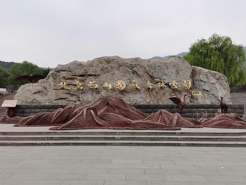 “缅怀先烈 传承初心”—ZOBO麻豆app下载安卓党支部参观无名英雄纪念碑活动
