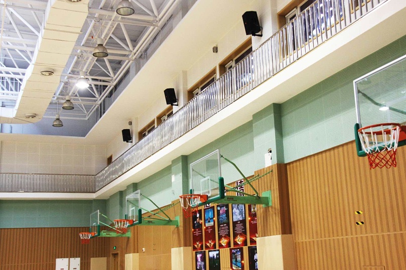 麻豆app下载安卓免费设备，家庭影院，阵列扬声器，功率放大器，扬声器，返听音箱，调音台